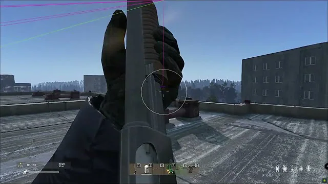 LEX — DayZ screenshot 2